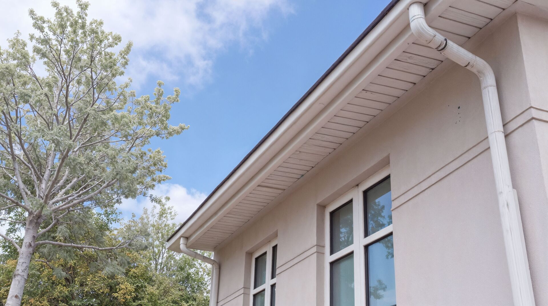 Roof drain guttering and view of fascia and soffit