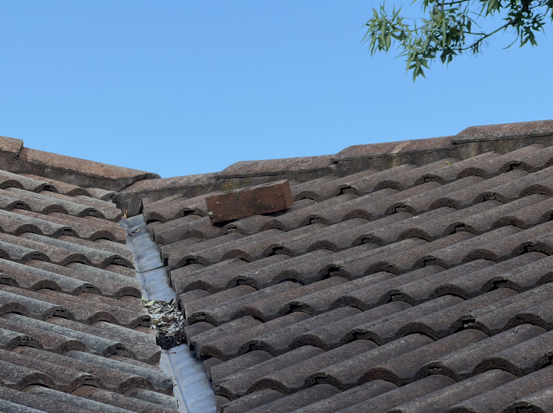 Single red brick resting weathered concrete tile roof