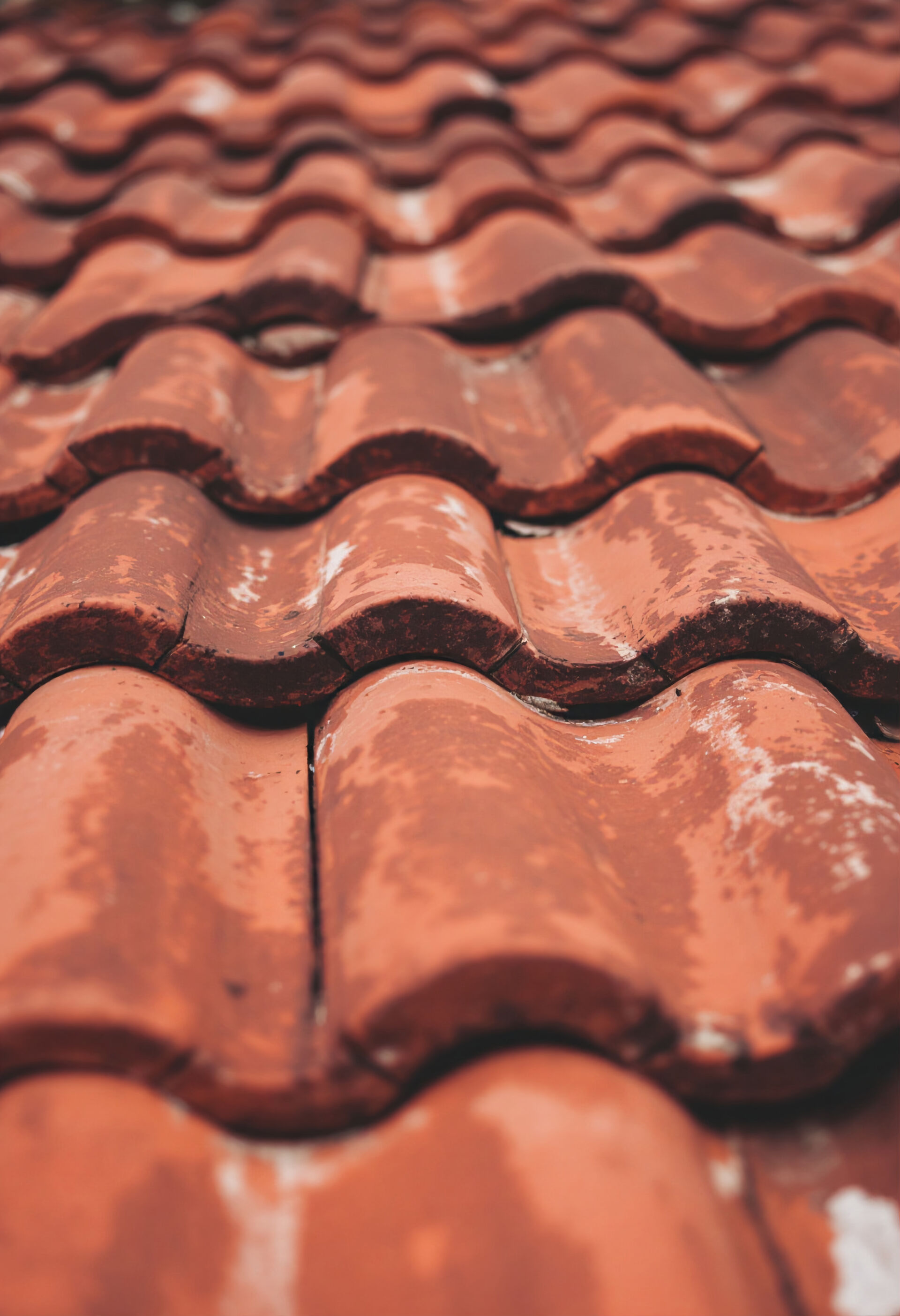 Close up of roof tiles